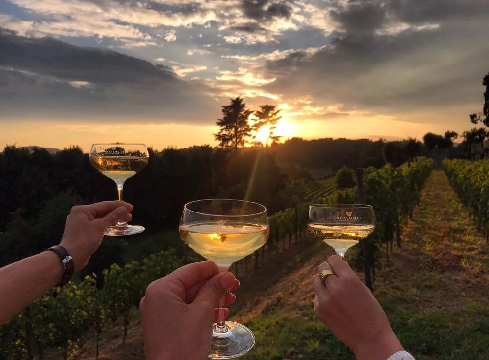 Three coupe glasses of Franciacorta raised over the vineyard rows at sunset