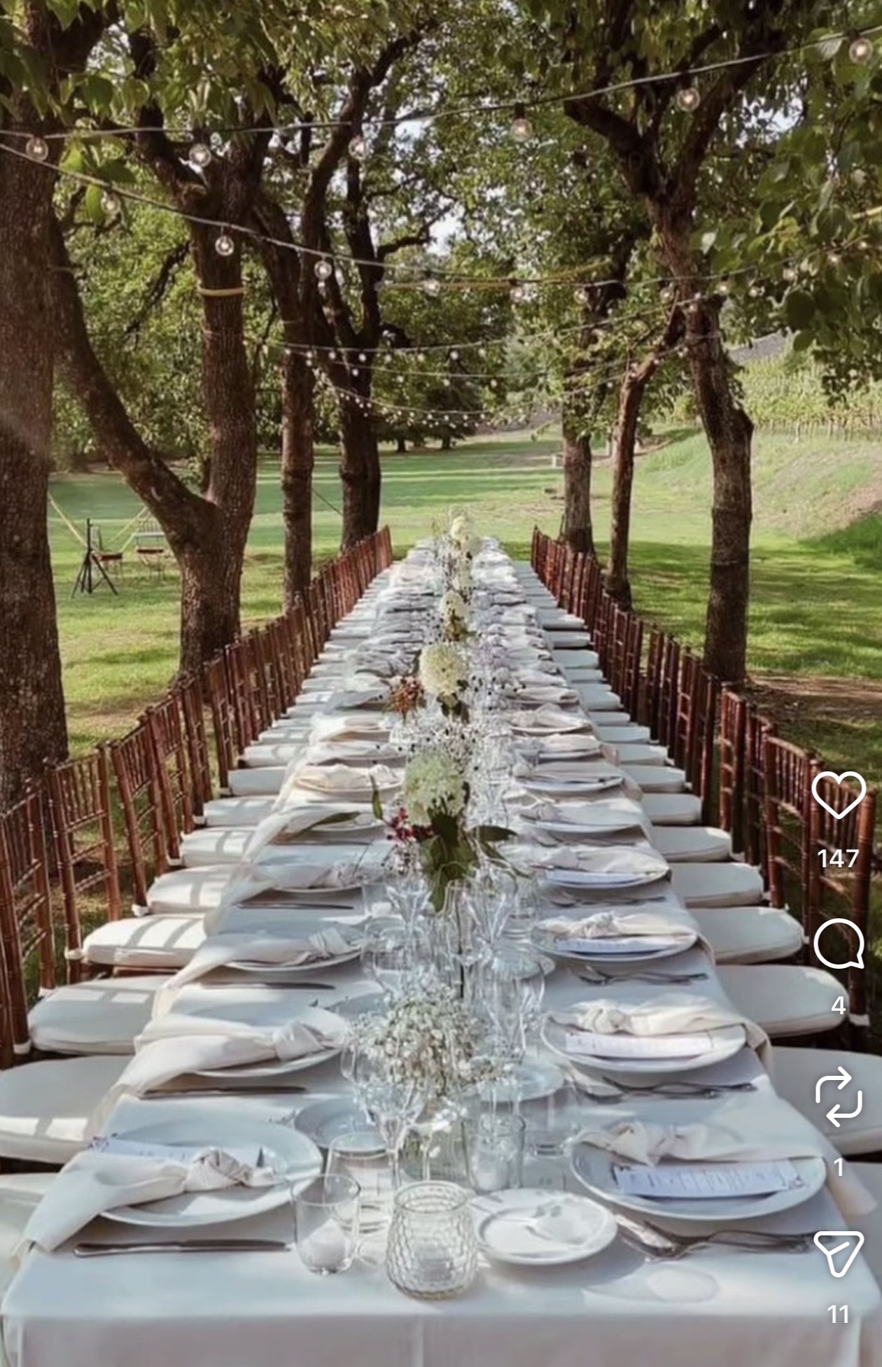 Long banquet table set for the group under fruit trees and string lights