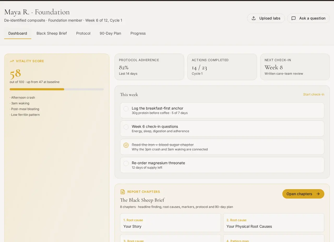 Foundation member dashboard from the demo account
