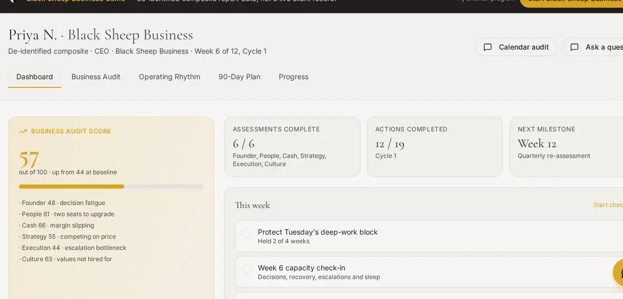 Black Sheep Business audit dashboard from the demo account